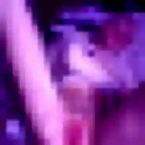 Photo de Nassira à Alligny-Cosne (36 ans) - plan cul anonyme