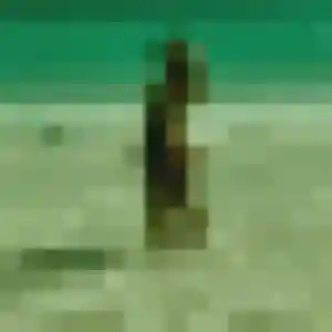 Profil de Sékou à Ambrières-les-Vallées (42 ans) - plan cul gratuit