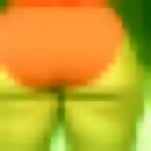 Sandrine, 37 ans, disponible à Anceaumeville pour une rencontre coquine