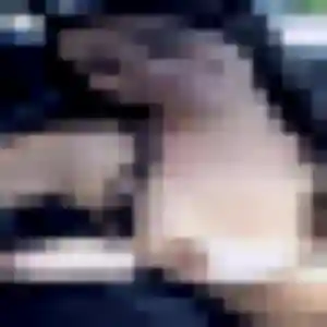 Gnilane, 28 ans, dispo pour plan cul à Anet