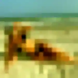 Photo de Nadège à Arboys en Bugey (35 ans) - plan cul gratuit