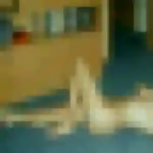 Nicole, 45 ans, cherche un plan cul à Arnay-le-Duc