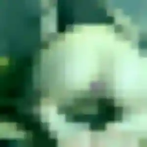 Photo privée de Mireille, 32 ans à Arquenay - rencontre sans lendemain