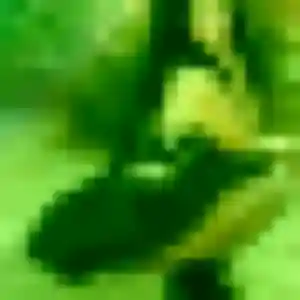 Photo perso de Tanoh, 44 ans à Arvert - rencontre coquine