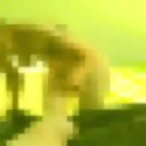 Yaa, 37 ans, disponible à Athis-Val de Rouvre pour une rencontre coquine