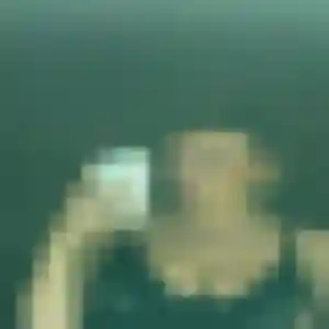 Sexy Noémie, 38 ans à Athis - voir sa photo