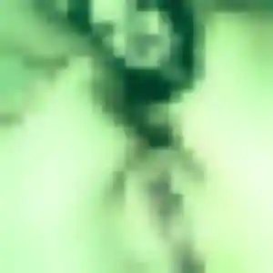 Sonia, 28 ans, connectée à Auberives-sur-Varèze pour une rencontre coquine