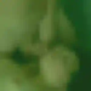 Dienaba de Aubiat, 39 ans - plan cul sans prise de tête