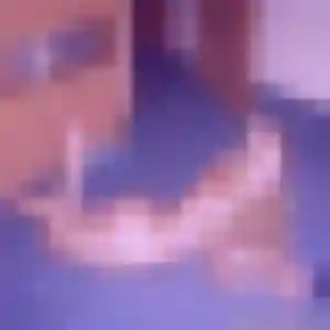 Photo privée de Maéva, 22 ans à Aulnay-sur-Iton - plan discret