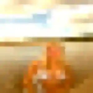 Photo exclusive de Nyokabi, 39 ans à Autignac - rencontre sans lendemain