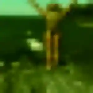 Photo privée de Xavière, 41 ans à Auvers - rencontre coquine