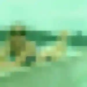 Monique de Availles-en-Châtellerault, 33 ans - plan cul sans lendemain