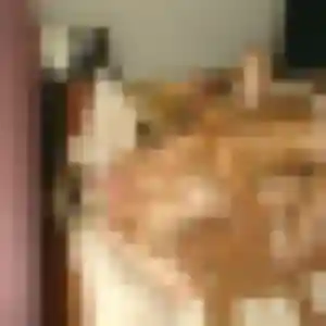 Jolie Sixtine, 31 ans à Availles-Limouzine - la contacter