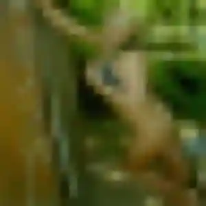 Photo sexy de Assétou, 30 ans à Aveize - rencontre coquine