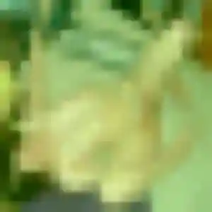 Profil de Tiffany à Baden (41 ans) - plan cul gratuit