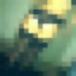Photo privée de Evelyne, 25 ans à Baie-Mahault - rencontre coquine