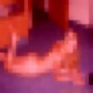 Maéva de Barc, 36 ans - plan cul discret