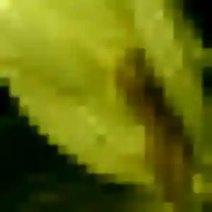 Sexy Dienaba, 27 ans à Bazainville - découvrir son profil