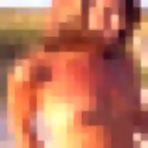 Photo privée de Yemisi, 29 ans à Bazemont - rencontre coquine