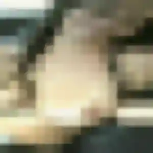 Profil de Laetitia à Beausemblant (31 ans) - plan cul discret