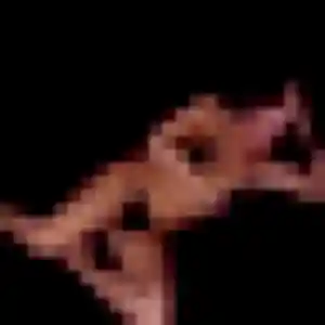 Profil de Valentine à Beauzelle (45 ans) - plan cul anonyme