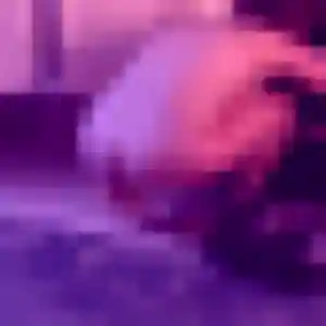 Sexy Omolara, 28 ans à Berchères-sur-Vesgre - découvrir son profil