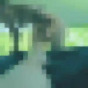 Titi (29 ans) à Bettancourt-la-Ferrée propose une rencontre rapidement