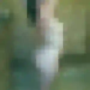 Profil de Nadia à Bettviller (33 ans) - plan cul anonyme