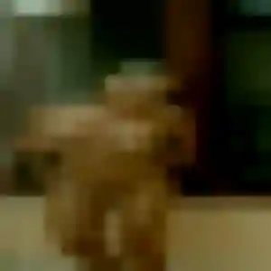 plan cul à Beugnies : photo de Amara, 34 ans - inscription gratuite