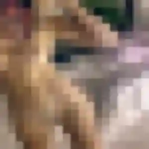 Ludivine, 40 ans, connectée à Beynat pour un plan cul
