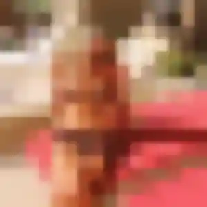 Profil de Lola à Biot (38 ans) - plan cul anonyme
