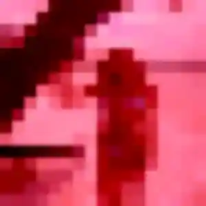 Ablavi, 22 ans, connectée à Bohal pour une rencontre coquine