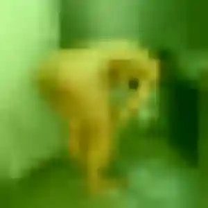 Sexy Rébecca, 29 ans à Boisné-La Tude - la contacter
