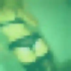 Photo de Suzanne à Bonnétable (25 ans) - plan cul discret