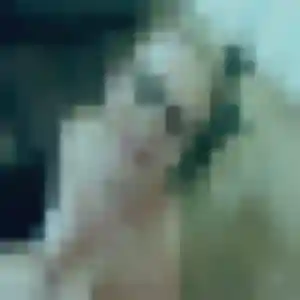 Profil de Tanoh à Bourg-Saint-Christophe (39 ans) - plan cul discret