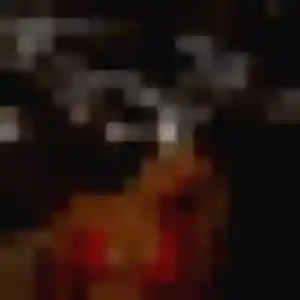 Sarah, 29 ans, en ligne à Bourthes pour une rencontre coquine