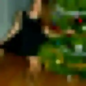 Contacte Yasmine, 45 ans à Bouvesse-Quirieu gratuitement