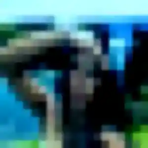 Daba (35 ans) à Brachy propose une rencontre rapidement