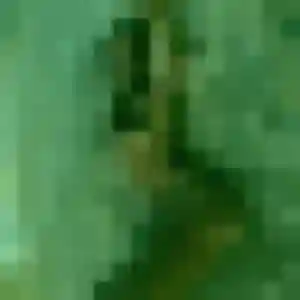 Quetsia, 33 ans, connectée à Brax pour une rencontre coquine