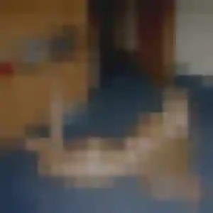 Rejoins Omolara, 33 ans à Breuches en privé