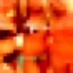 Photo exclusive de Naomie, 24 ans à Bruebach - plan discret