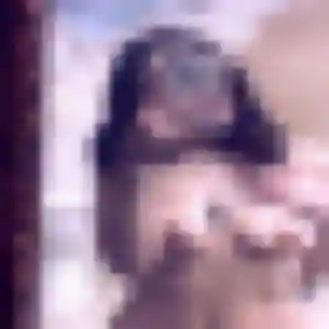 Photo exclusive de Gnilane, 27 ans à Burgnac - rencontre coquine