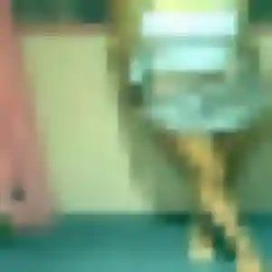 Lilou, 36 ans, cherche un plan cul à Bussy-Saint-Martin
