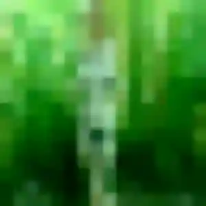 Sexy Vanessa, 40 ans à Campagne-sur-Aude - la contacter