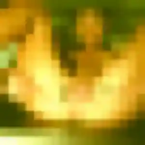 Dado, 22 ans, connectée à Canéjan pour une rencontre coquine