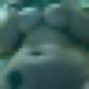 Ayélé, 33 ans, cherche un plan cul à Capbreton