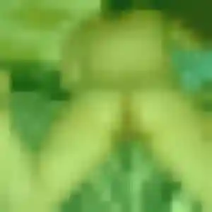 Photo privée de Bintou, 33 ans à Cardaillac - rencontre coquine