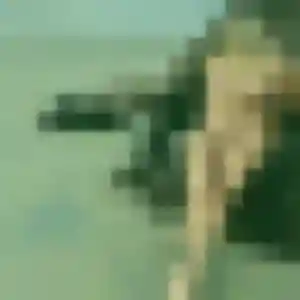 Profil de Marguerite à Cardaillac (32 ans) - plan cul discret