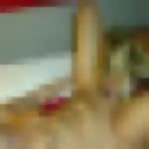 plan cul à Carrouges : photo de Brigitte, 41 ans - accès libre