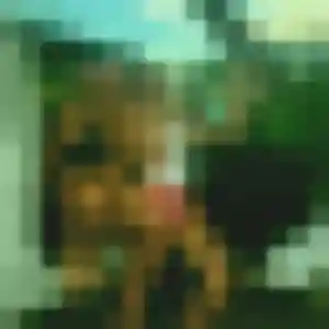 Photo de Nkechi à Castelnau-de-Montmiral (33 ans) - plan cul anonyme